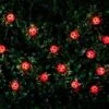 B&M 30 Insect Solar String Lights - Ladybird 1 B&M 30 Insect Solar String Lights - Ladybird -Big Brand Store 265270 20 Nature String Solar Lights Ladybird1