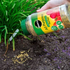 Miracle-Gro Continuous Release Plant Food 1kg 5 Miracle-Gro Continuous Release Plant Food 1kg -Big Brand Store 309721 miracle gro continuous release plant food 1kg 2