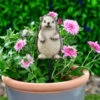 B&M Carved Wood Effect Garden Plant Pot Stick - Hedgehog 1 B&M Carved Wood Effect Garden Plant Pot Stick - Hedgehog -Big Brand Store 379521 wood animal pot sticks hedgehog