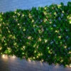 Bloom Solar Powered Expanding Artificial Leaf Trellis 200 X 100cm 1 Bloom Solar Powered Expanding Artificial Leaf Trellis 200 X 100cm -Big Brand Store 379978 expanding leafy trellis 100 leds 2x1m 2
