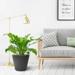 B&M Octavia Planter 38cm - Slate -Big Brand Store 383772 octavia planter slate pewter 38cm