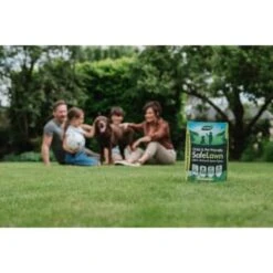 B&M Westland Safe Lawn Spreader Box 80m2 -Big Brand Store 384000 safe lawn spreader box 80m 4