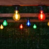 Eveready Mains Powered LED Bulb String Lights 20pk - Multicolour 1 Eveready Mains Powered LED Bulb String Lights 20pk - Multicolour -Big Brand Store 392913 eveready 20 mains operated multi colour bulb string lights 2