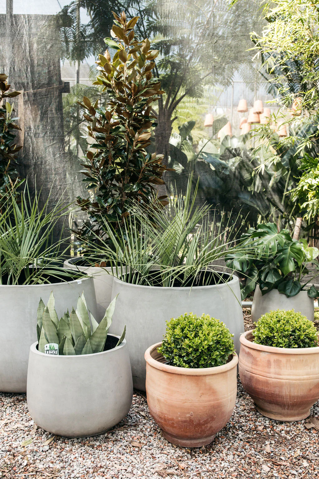 Big Brand Store 4 Big Brand Store -Big Brand Store TPLRGPots 69 1d73755e 3356 4eba bd89 e4be48b4aecf